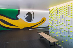 classic-tile-saturated,-jane-sanders,-sports,-stadium