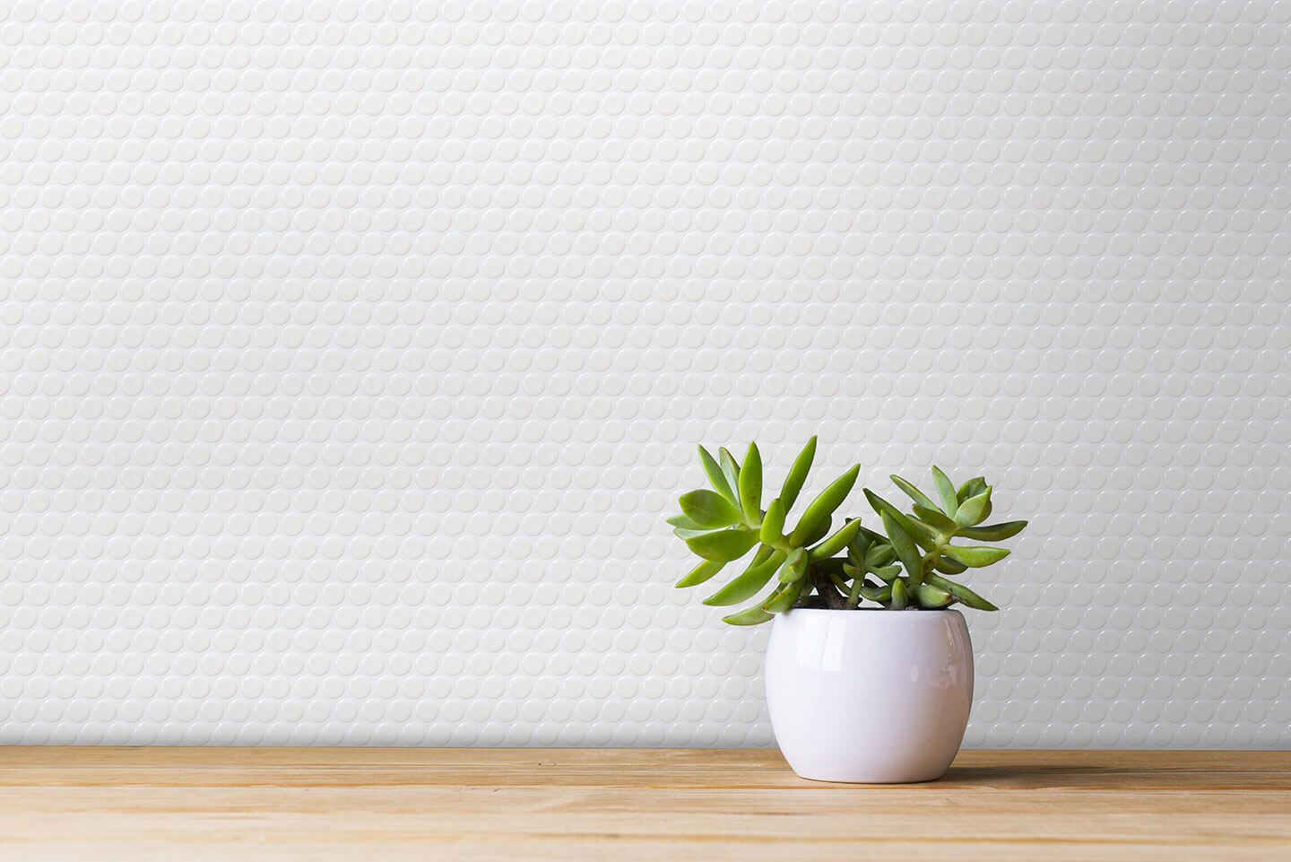 Avi-Glazed-Penny-Install-25125-(6)