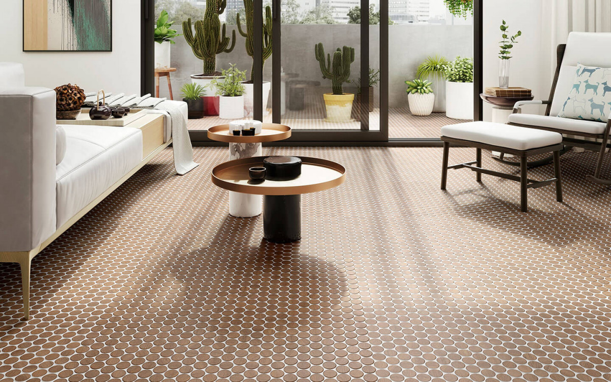 Balanza-Disc-Install-278590-(8)