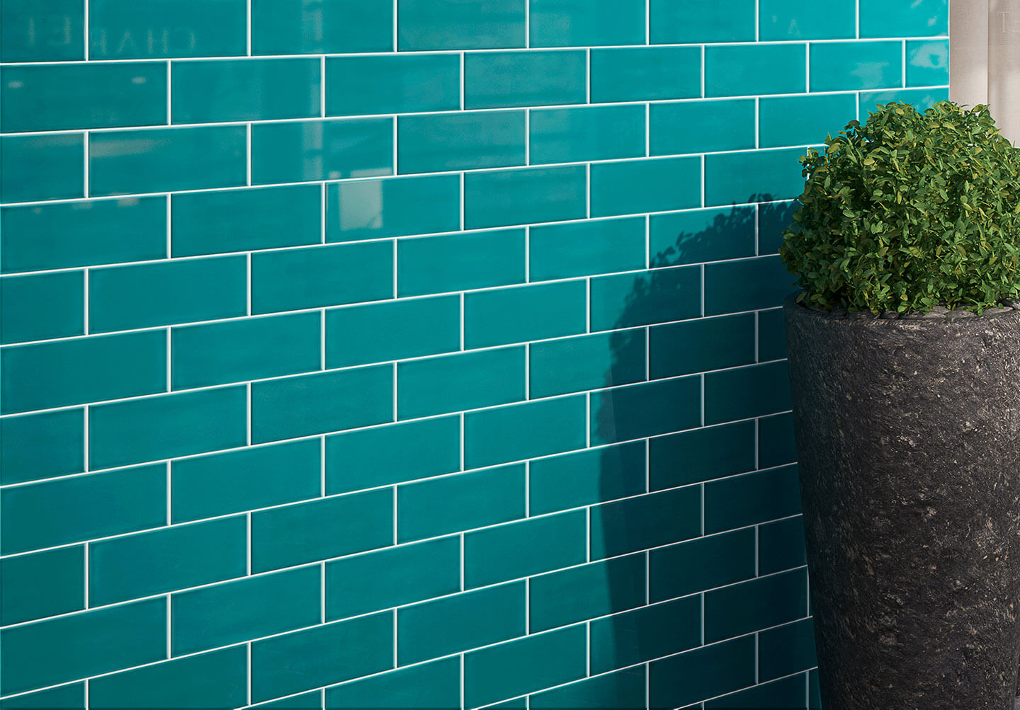 Eden-Solace-Install-24432-(2)