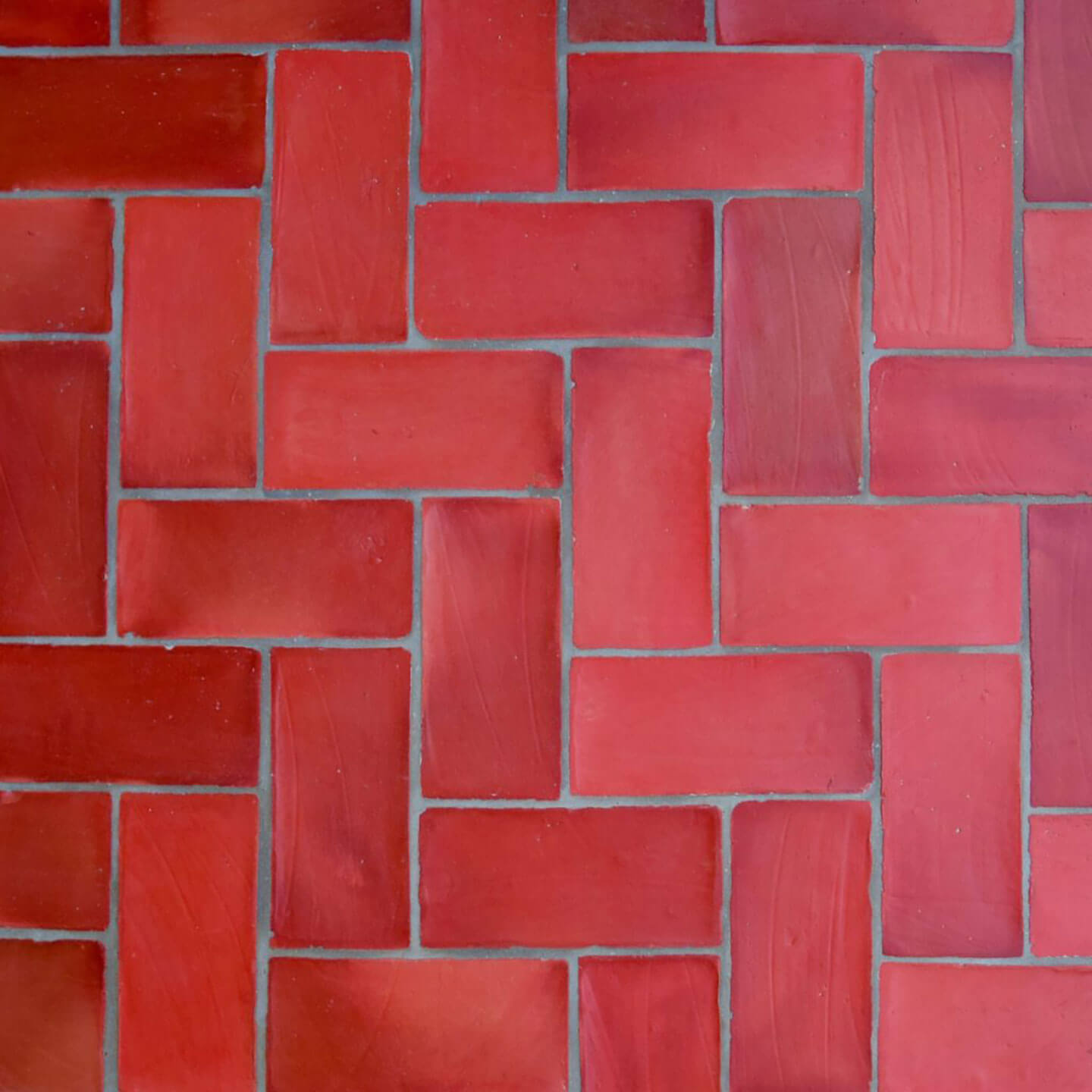 Miro-Terra-Tintura-Install-36816-(1)