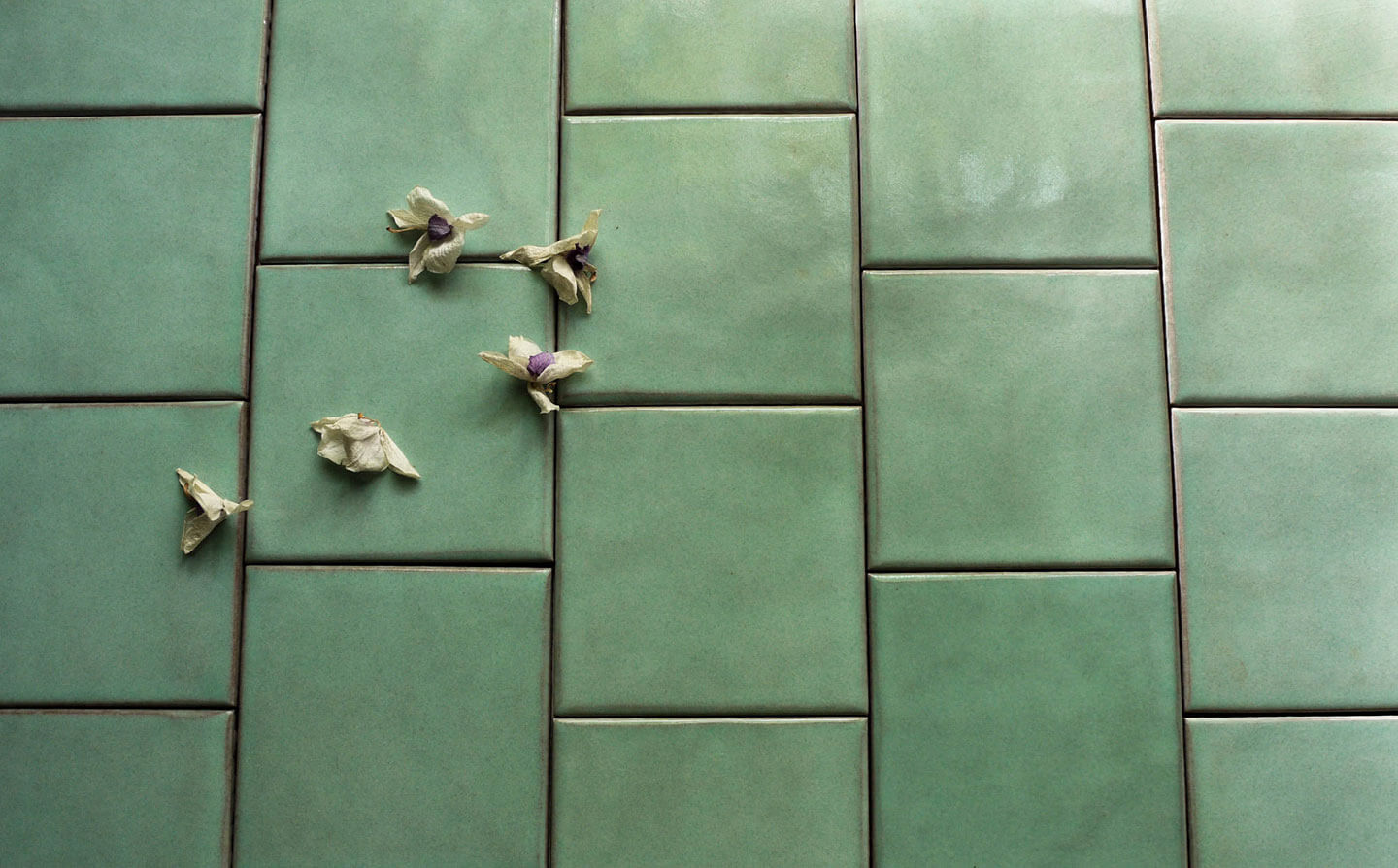 Santos-Heritage-Field-Install-91519-(14)