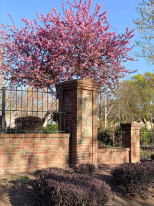 Urban-Brick-Sand-Install-36951-(1)