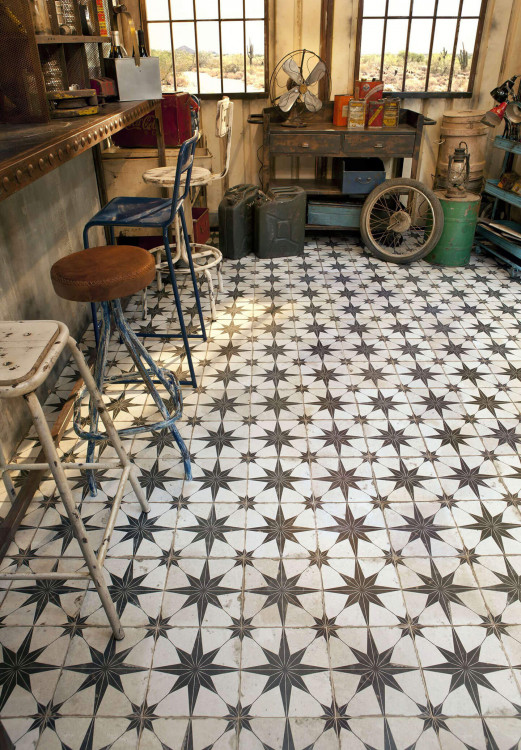 Begonia-Antiguo-Install-23820-(3)