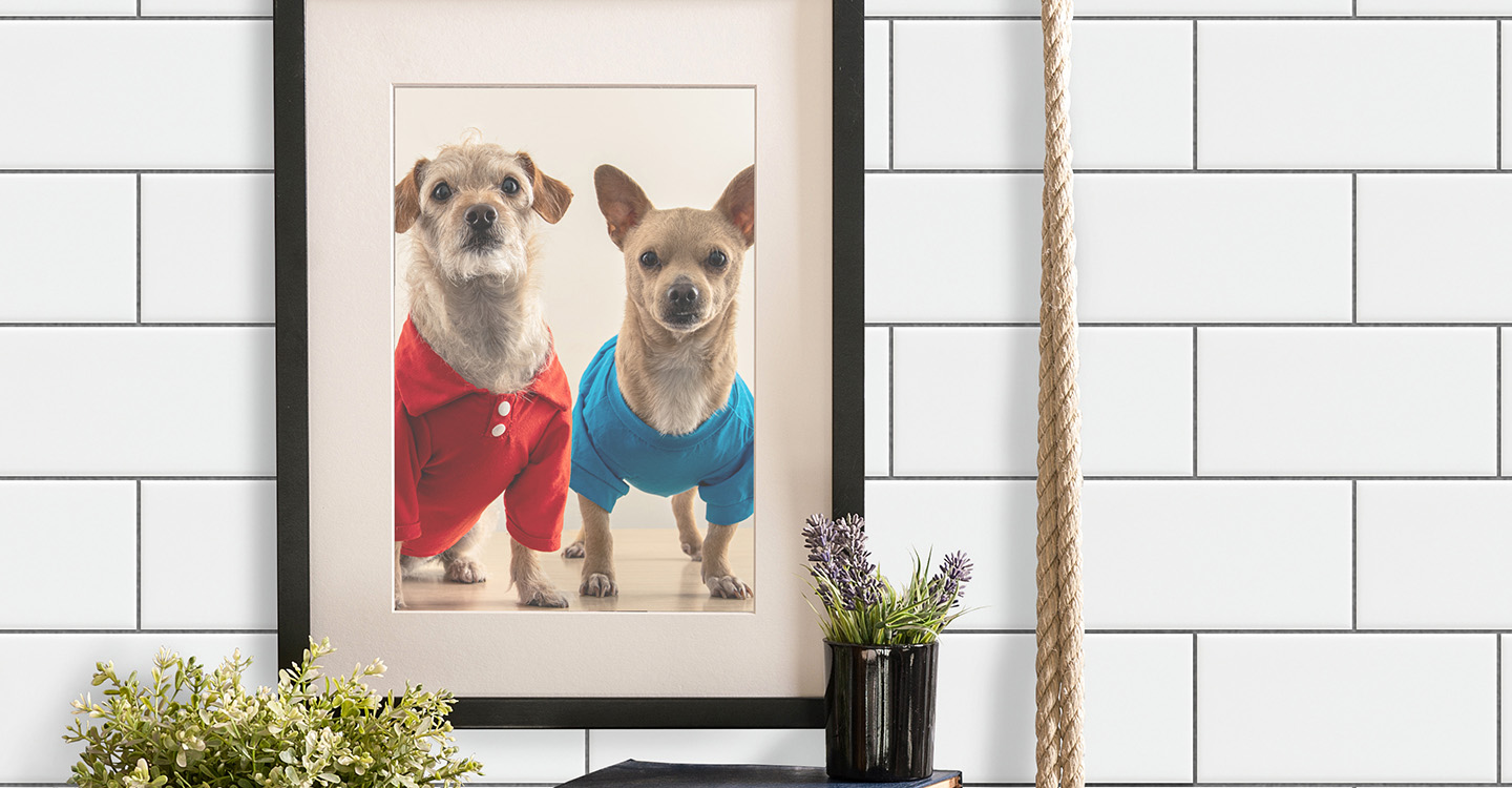 Avi-Palisade-Install-160186-1