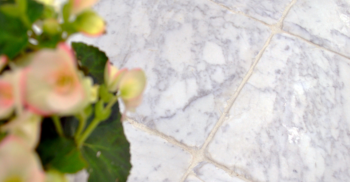 Carrara Maison 12x12 3