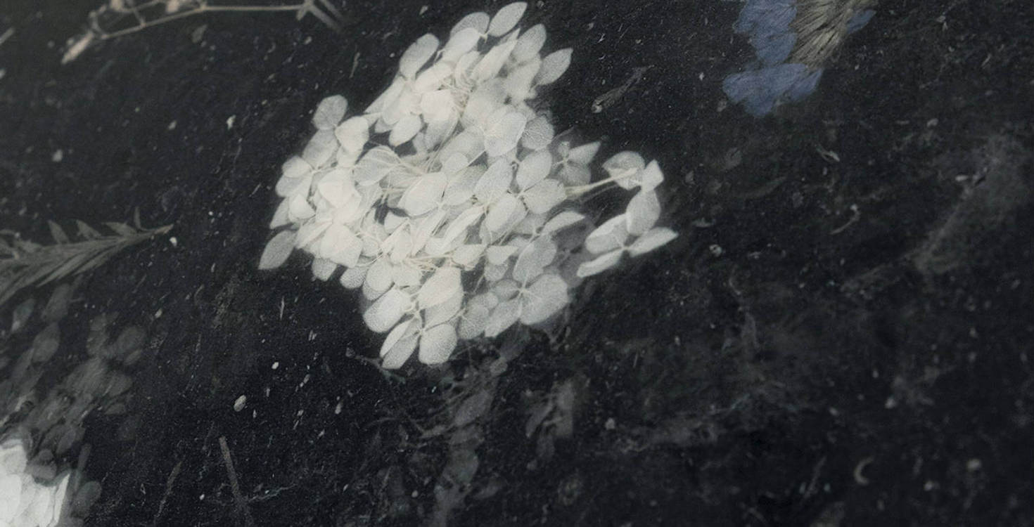 Juno-Noche-Black-Deco-Glossy-4110812