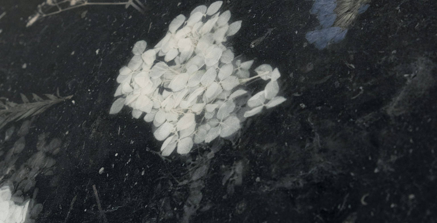 Juno-Noche-Black-Deco-Glossy-4110812