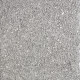 Cat-_0005_Grey