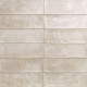 Cat-_0012_Taupe
