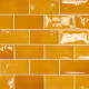 Cat-_0014_Yellow